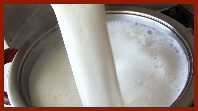 maxresdefault How to make yogurt?